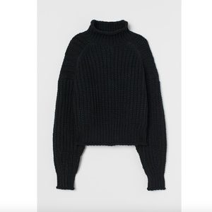 Chunky Ribbed Knit Turtleneck Sweater